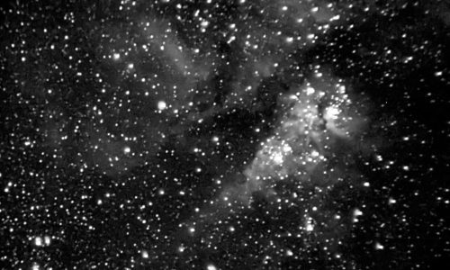 nebula NGC 3372 in greyscale